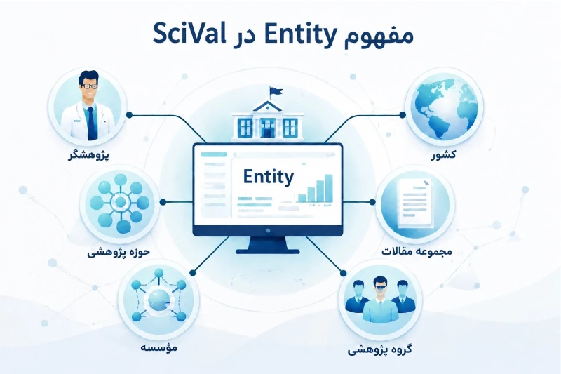 مفهوم Entity در SciVal