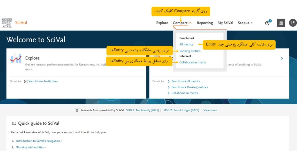 مقایسه عملکرد پژوهشی چند Entity در سای ول